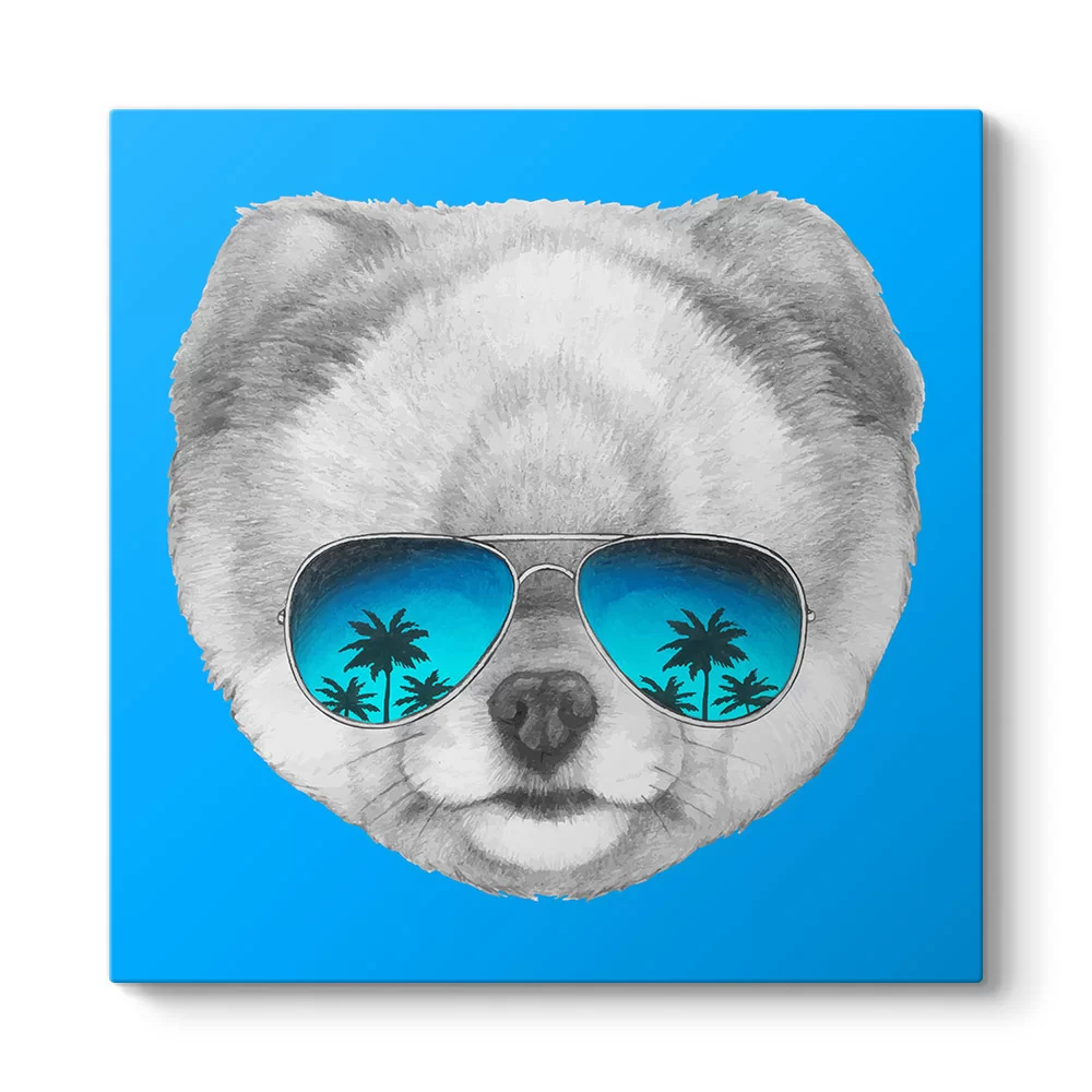 Pomeranian Boo Tablosu - Model 3
